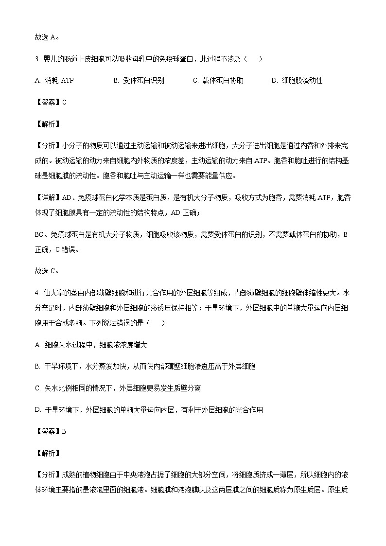 四川省雅安市2024-2025学年高三上学期11月“零诊”考试生物含答案第3页