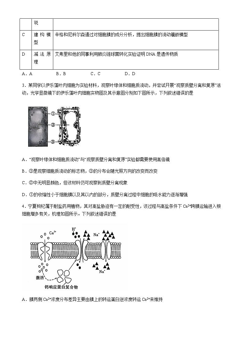 安徽省江淮十校2025届高三上学期11月第二次联考试题生物含答案第2页