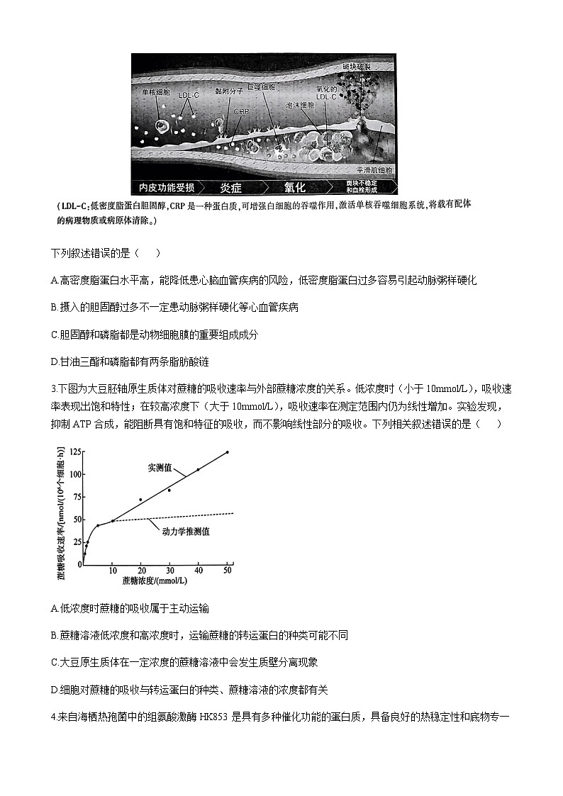 山东省临沂市2024-2025学年高三上学期11月教学质量检测考试生物含答案第2页