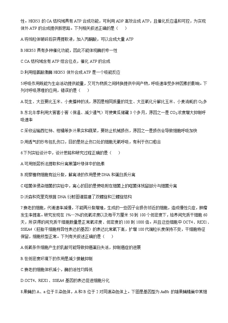 山东省临沂市2024-2025学年高三上学期11月教学质量检测考试生物含答案第3页