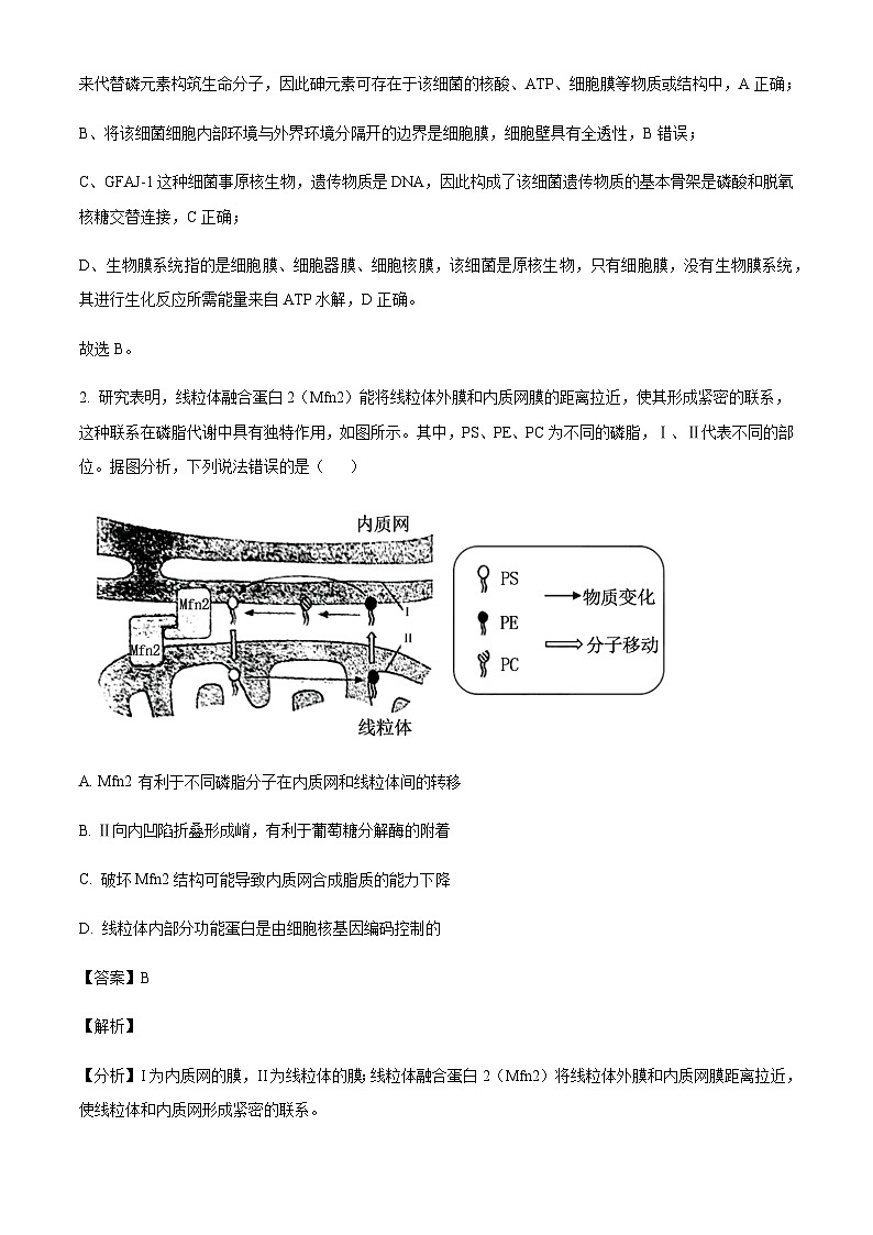 山东省青岛市黄岛区22025届高三上学期11月期中考试生物含答案第2页