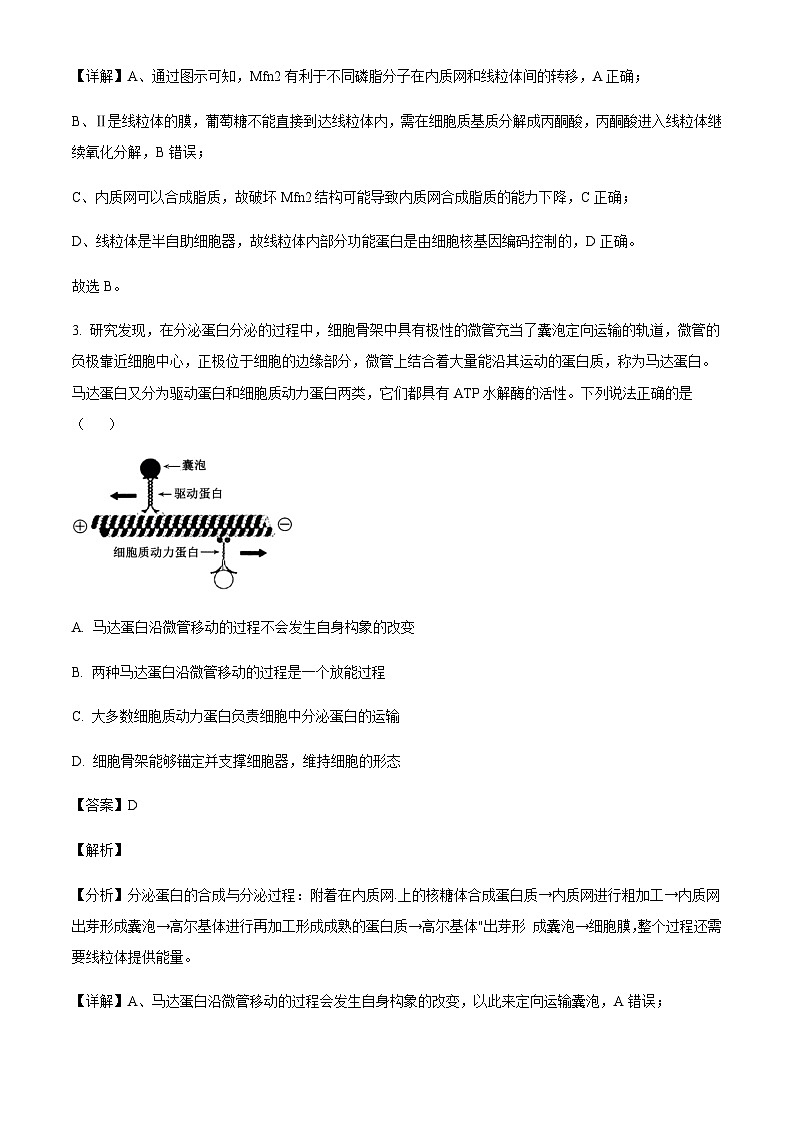 山东省青岛市黄岛区22025届高三上学期11月期中考试生物含答案第3页