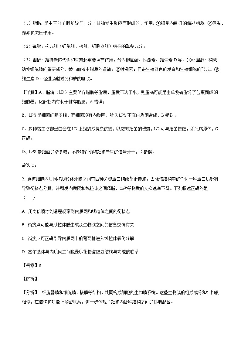 山东省顶级名校2025届高三上学期第二次诊断考试生物含答案第2页