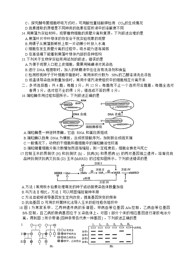 江苏省徐州市2024-2025学年高三上学期11月期中抽测试题生物含答案第3页