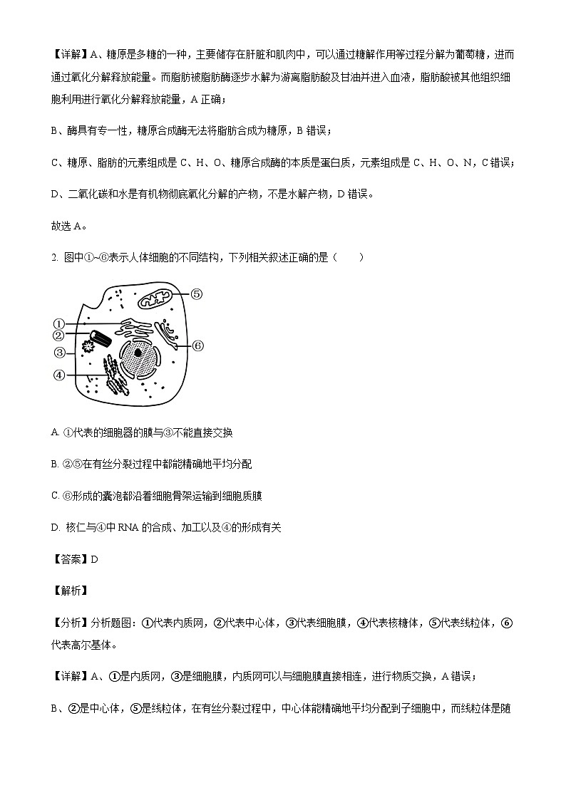 江苏省连云港市2024-2025学年高三上学期期中考试生物含答案第2页