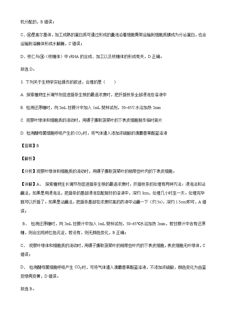 江苏省连云港市2024-2025学年高三上学期期中考试生物含答案第3页