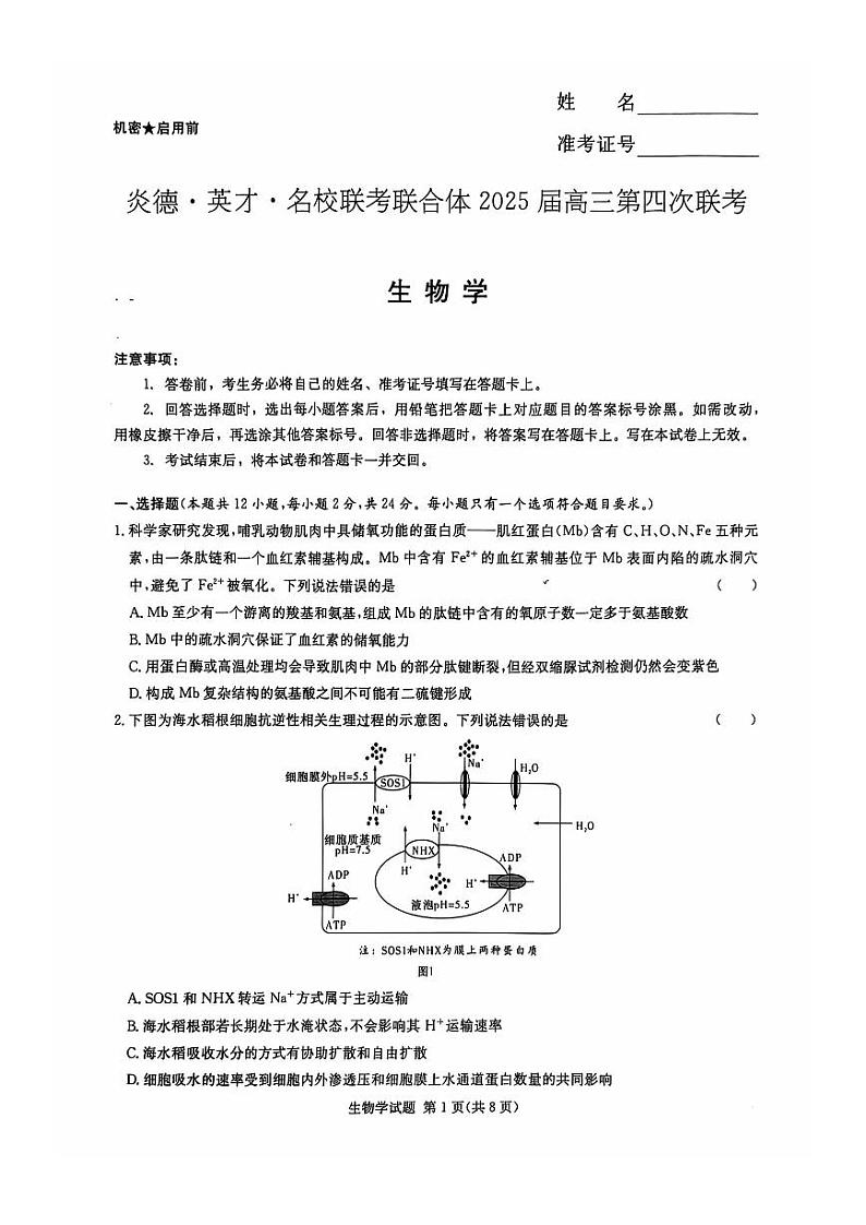 湖南省名校联考联合体2024-2025学年高三上学期第四次联考试题生物PDF版含答案第1页