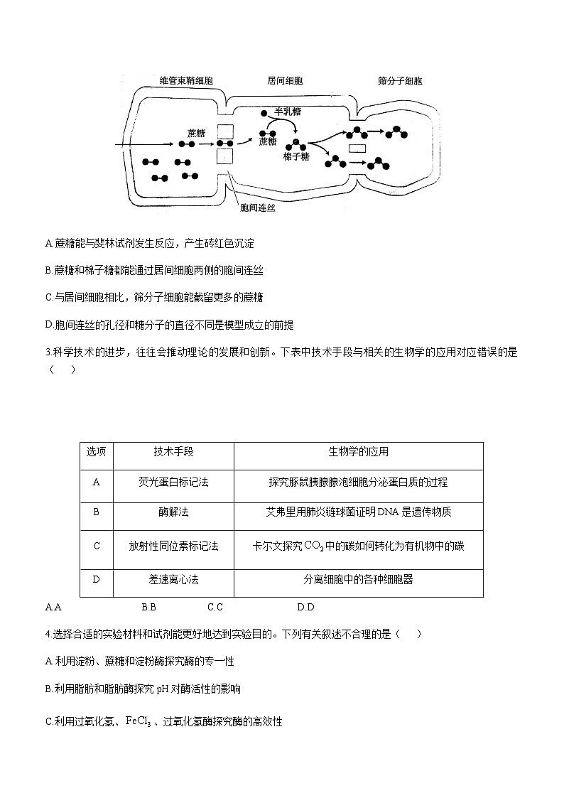 湖南省部分重点高中2024-2025学年高三上学期11月期中质量检测生物含答案第2页