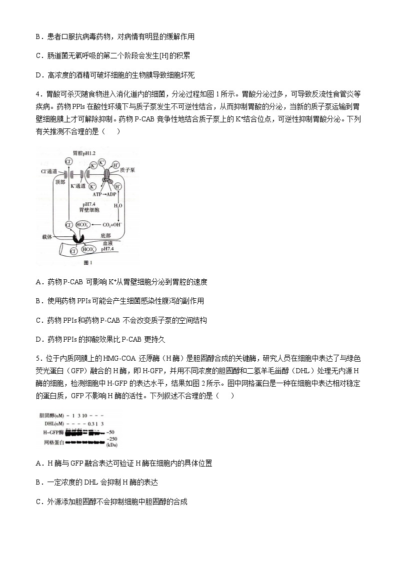 重庆市顶级名校2024-2025学年高三上学期11月适应性月考卷（三）生物含答案第2页