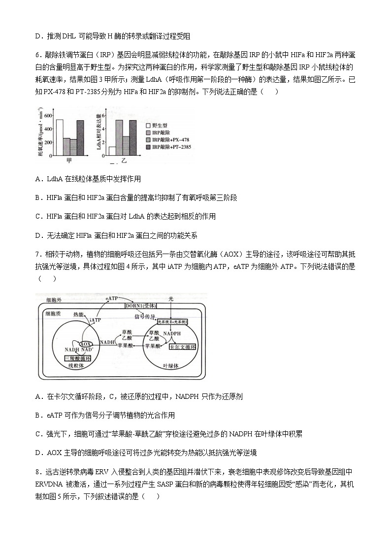 重庆市顶级名校2024-2025学年高三上学期11月适应性月考卷（三）生物含答案第3页