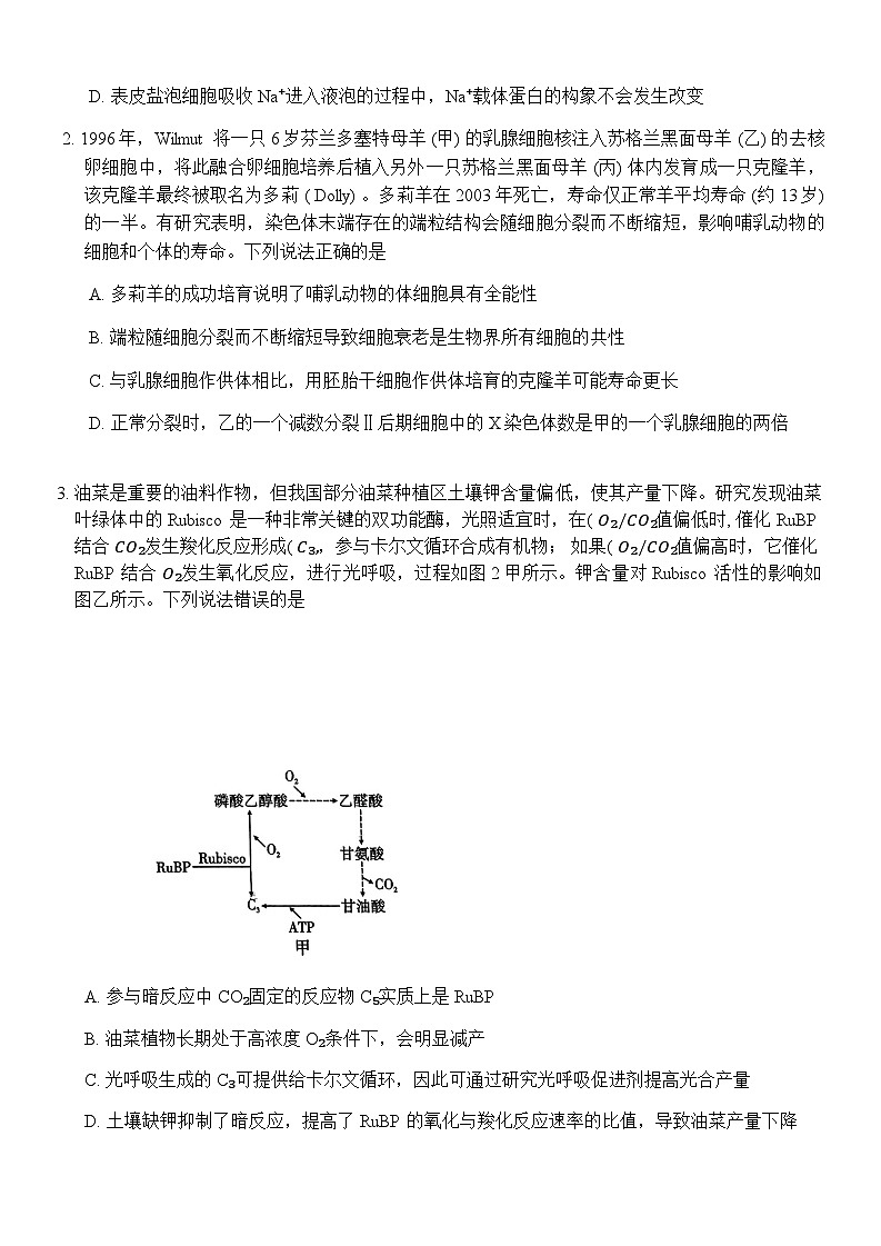 重庆市顶级名校2024-2025学年高三上学期11月适应性训练（三）生物含答案第2页