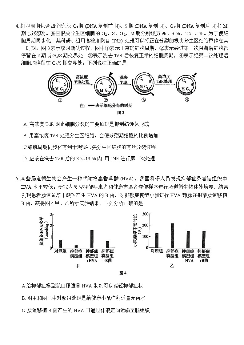 重庆市顶级名校2024-2025学年高三上学期11月适应性训练（三）生物含答案第3页