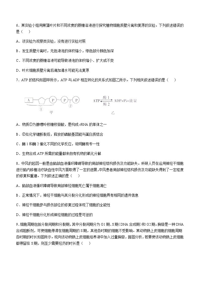 福建省部分达标高中2024-2025学年高三上学期11月期中考试生物试题含答案第3页