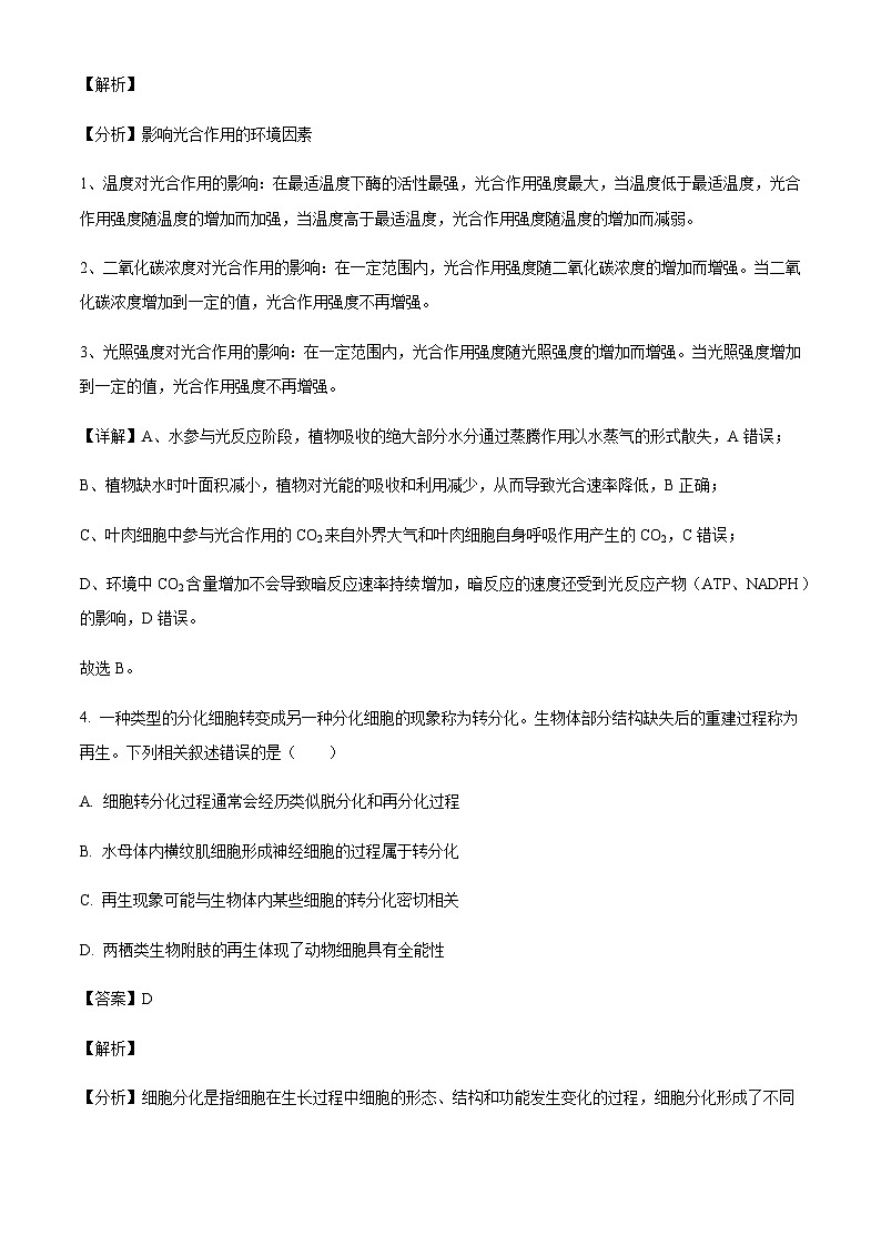 河北省邢台市重点高中2024-2025学年高三上学期10月月考生物试题含答案第3页