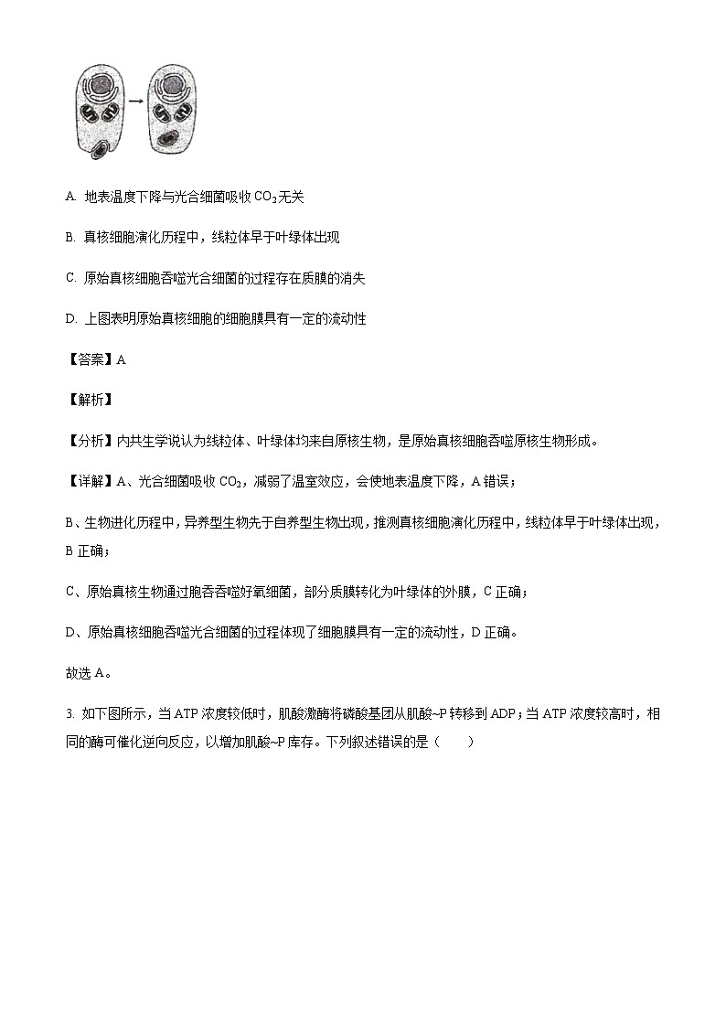 湖北省顶级名校2024-2025学年高三上学期11月期中考试生物试题含答案第2页