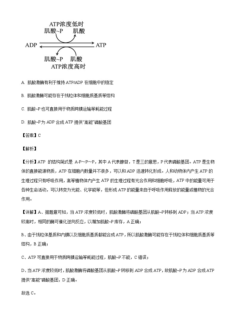 湖北省顶级名校2024-2025学年高三上学期11月期中考试生物试题含答案第3页