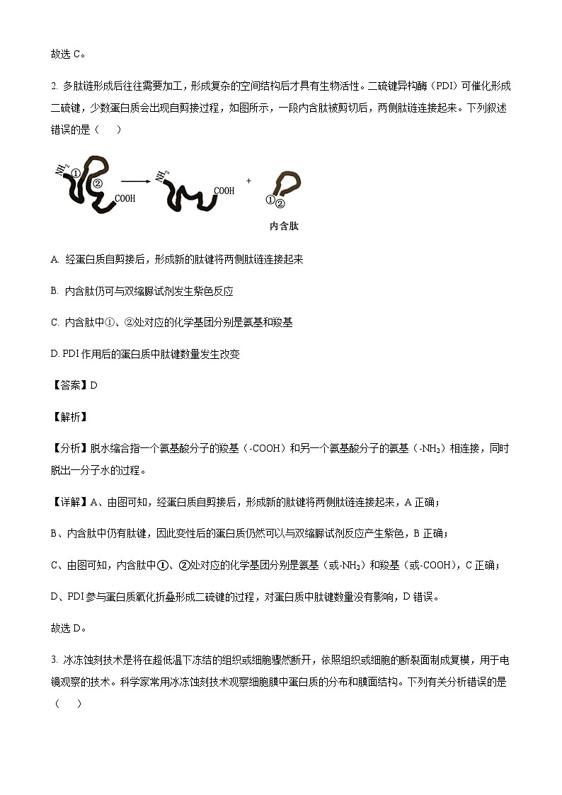 湖南省常德市沅澧共同体2024-2025学年高三上学期第二次联考生物试题含答案第2页