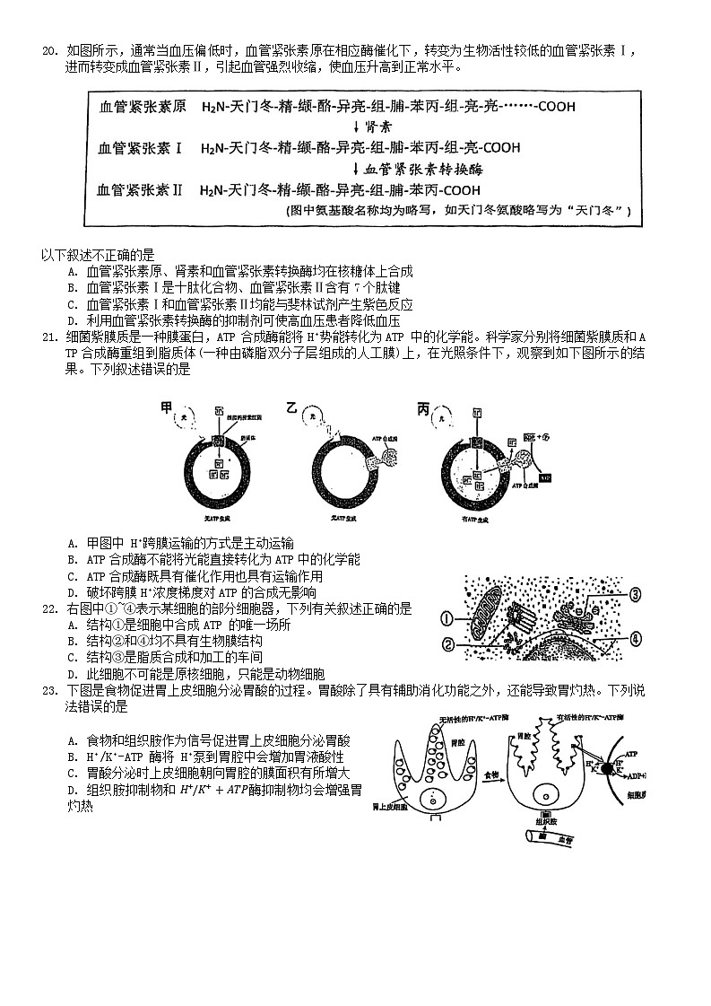北京市北京大学附属中学2024-2025学年高一上学期期中考试生物试题第3页