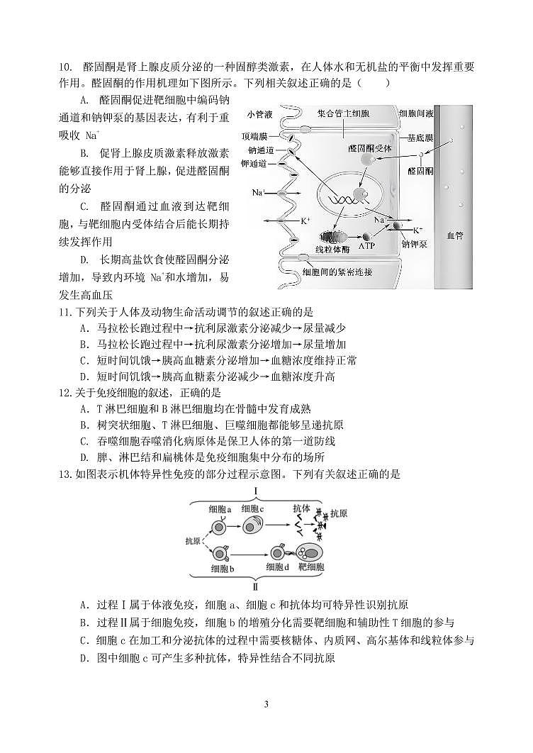 北京市第171中学2024-2025学年高二上学期期中调研生物试题第3页