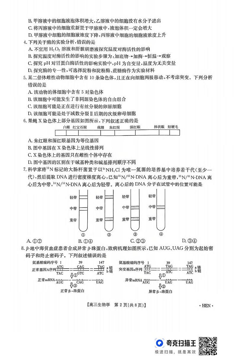 生物丨河南省百万金太阳2025届高三上学期11月大联考生物试卷及答案第2页