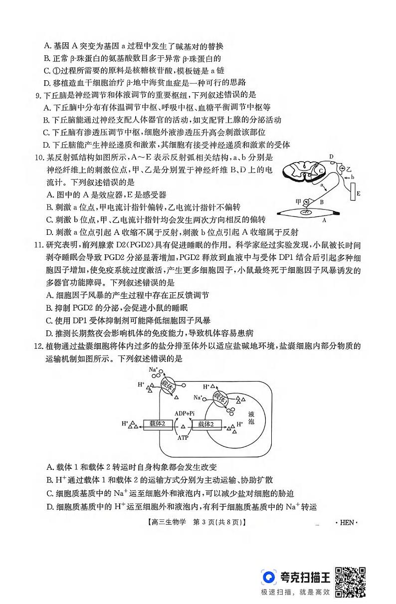 生物丨河南省百万金太阳2025届高三上学期11月大联考生物试卷及答案第3页