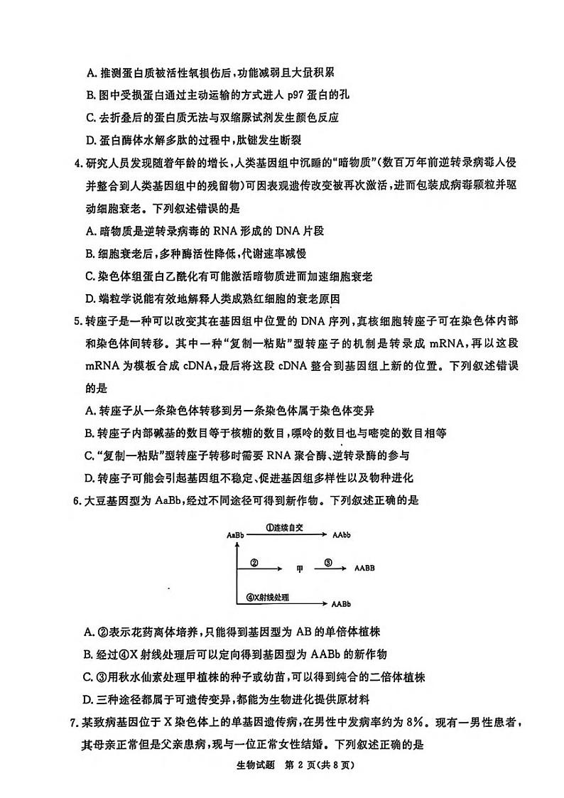生物丨河南省青桐鸣2025届高三11月大联考生物试卷及答案第2页