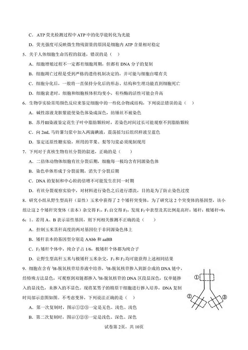 生物丨江苏省南京市协同体七校2025届高三上学期11月期中联合考试生物试卷及答案第2页