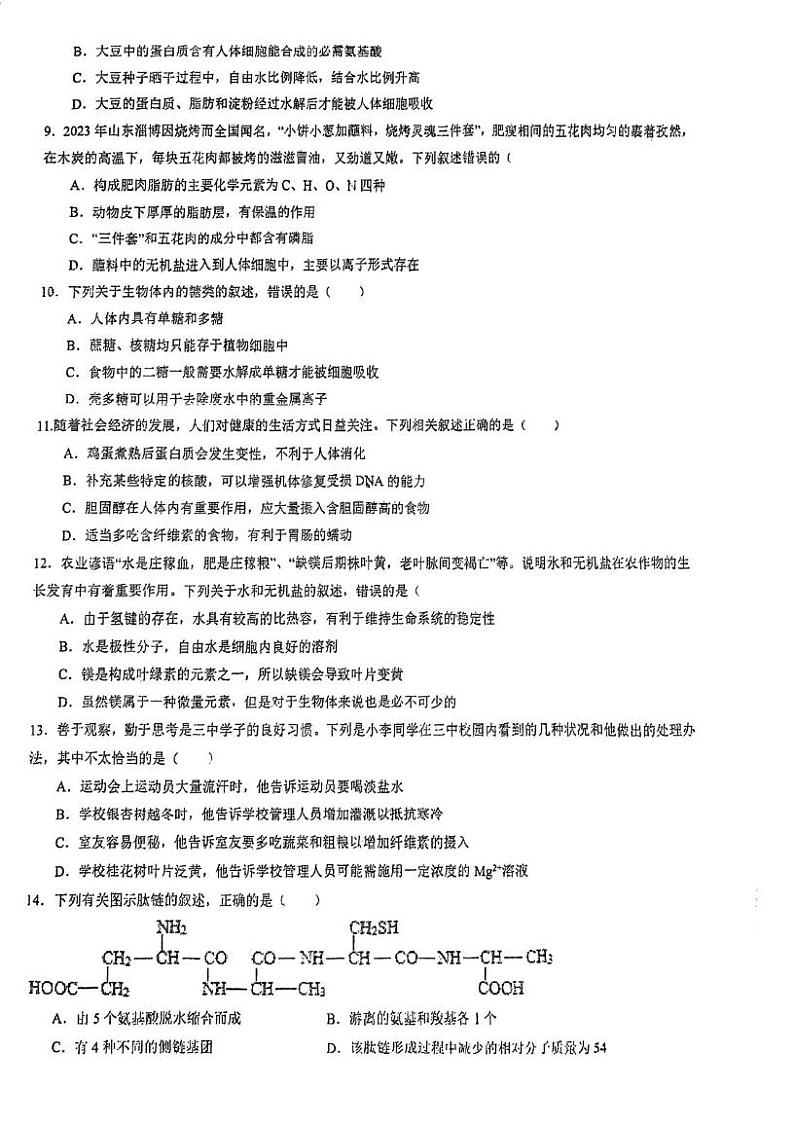 四川省内江市东兴区内江市第三中学2024-2025学年高一上学期期中生物试题第2页
