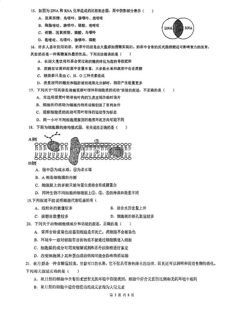四川省内江市东兴区内江市第三中学2024-2025学年高一上学期期中生物试题第3页
