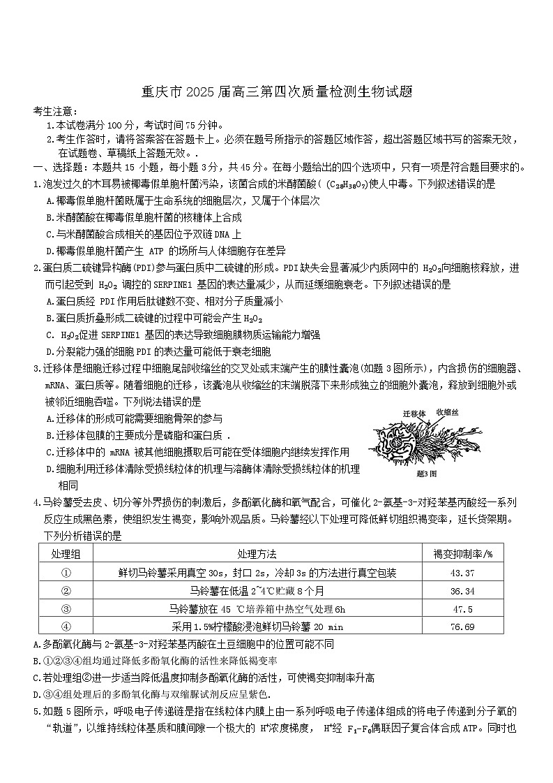 重庆市南开中学校2025届高三上学期高考第四次质量检测生物试题（含答案）第1页
