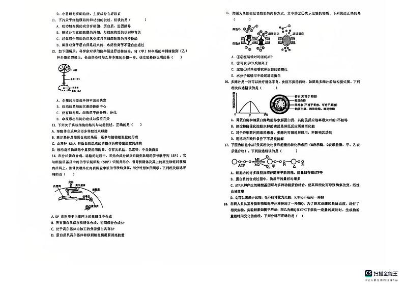 陕西省榆林市榆阳区榆林市镇川中学2024-2025学年高一上学期12月月考生物试题第2页