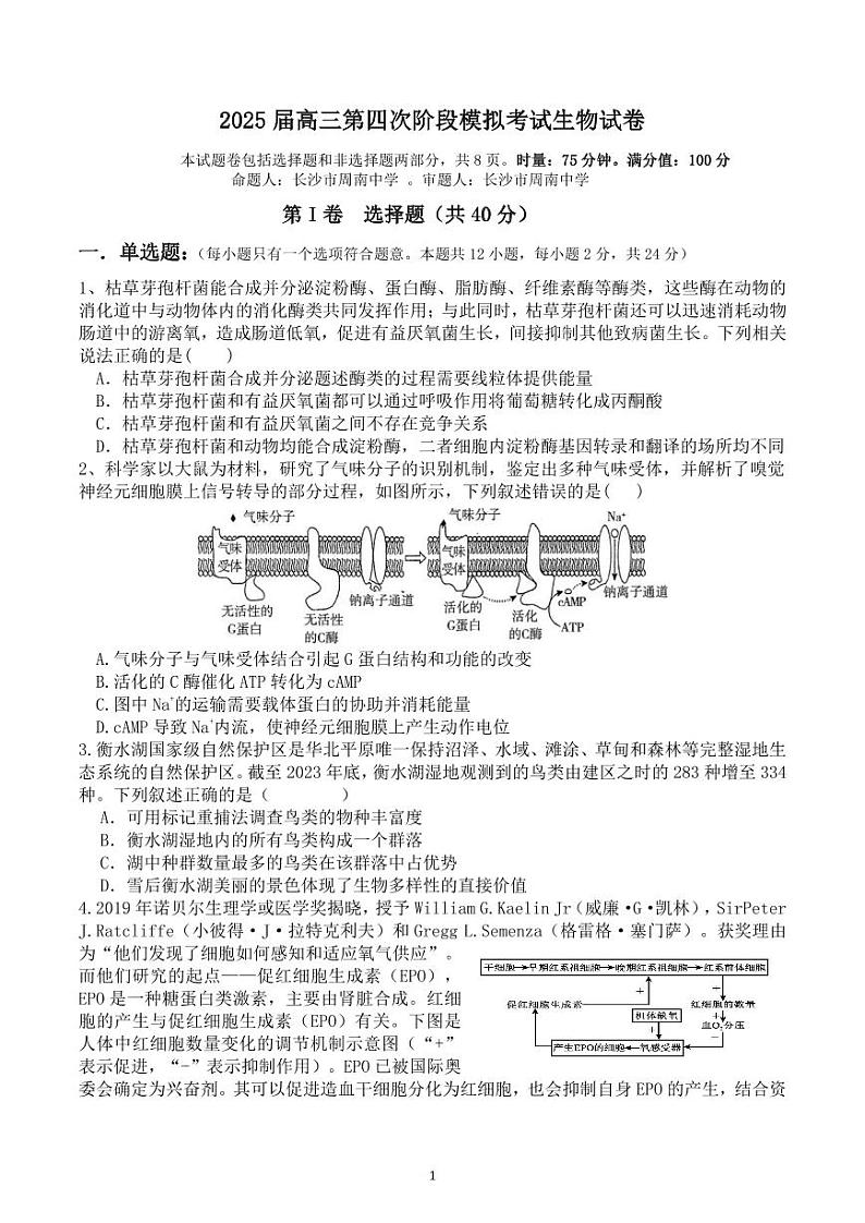 2025届高三第四阶段模拟考试生物试卷第1页