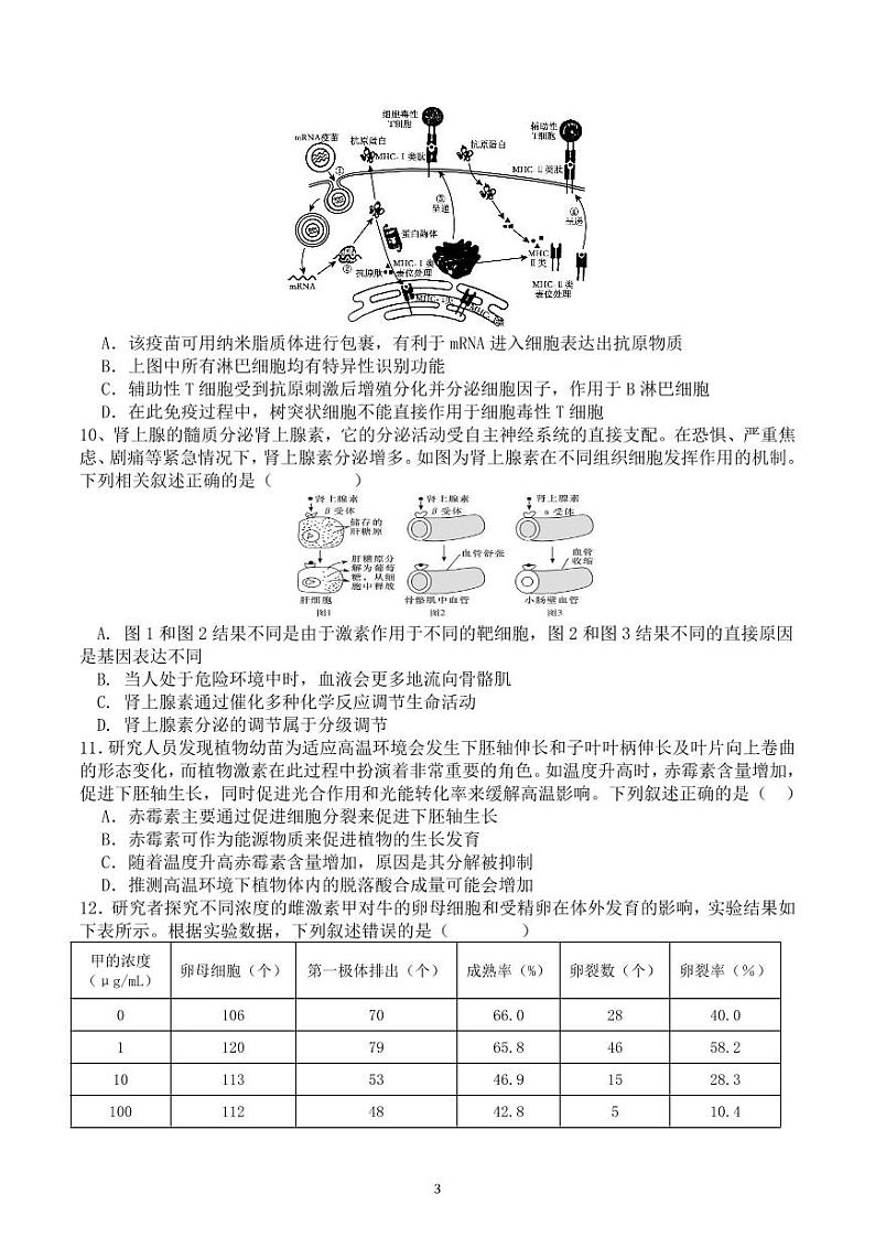 2025届高三第四阶段模拟考试生物试卷第3页