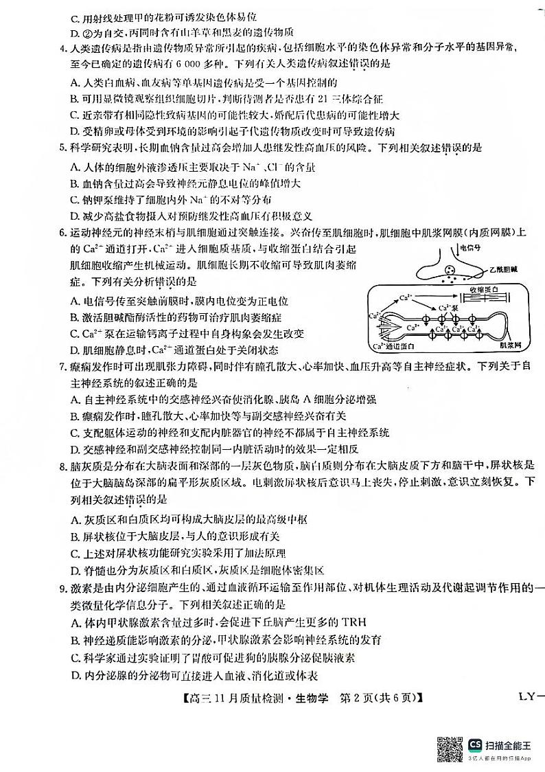 九师联盟2025届高三上学期12月联考生物试题第2页