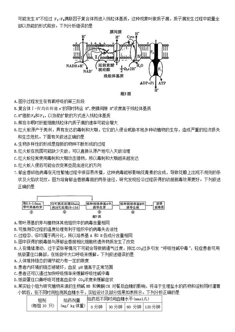 重庆市南开中学校2025届高三第四次质量检测生物试题（含答案）第2页