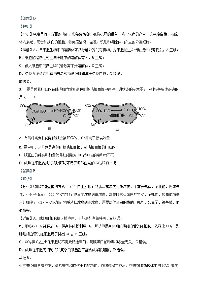 江西省萍乡市2024-2025学年高三上学期期中考试生物试题（解析版）-A4第2页