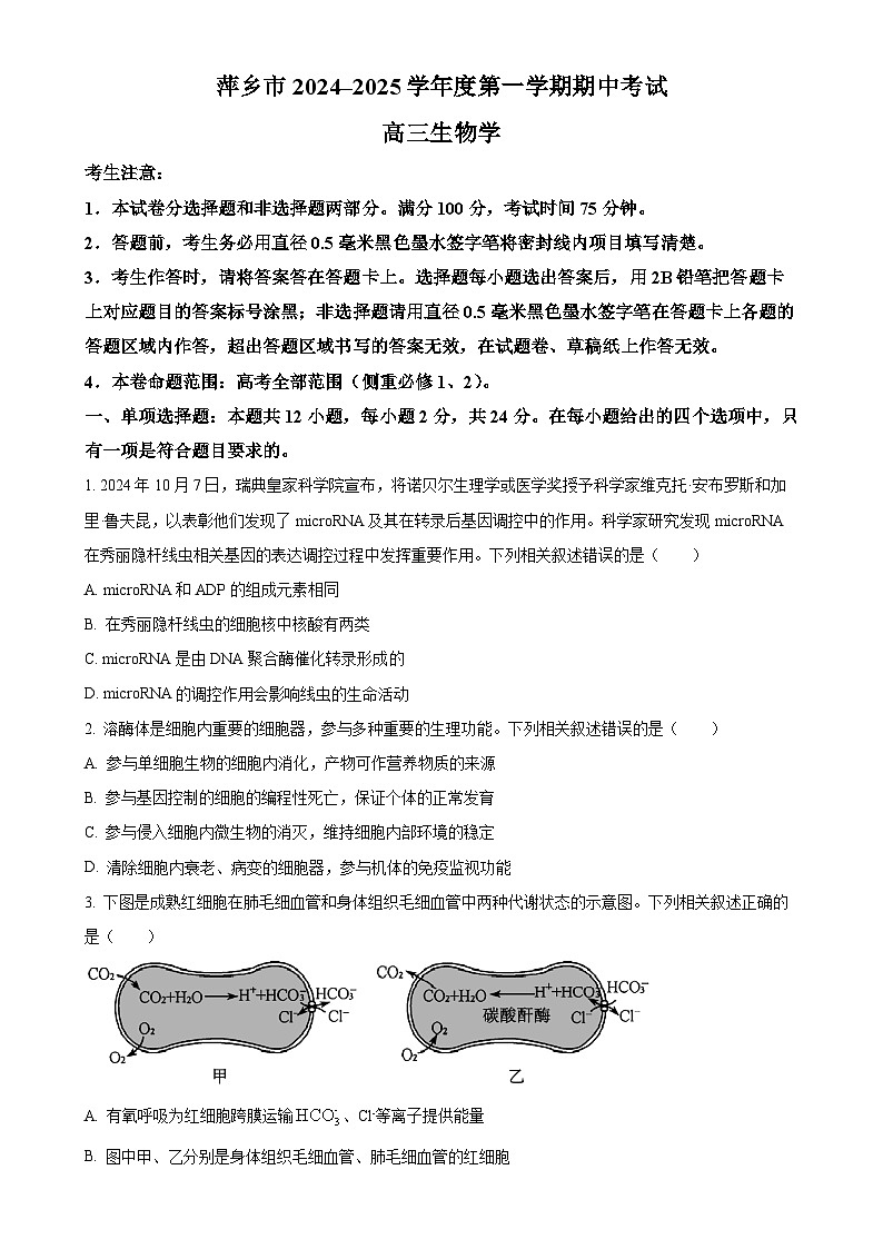 江西省萍乡市2024-2025学年高三上学期期中考试生物试题（原卷版）-A4第1页