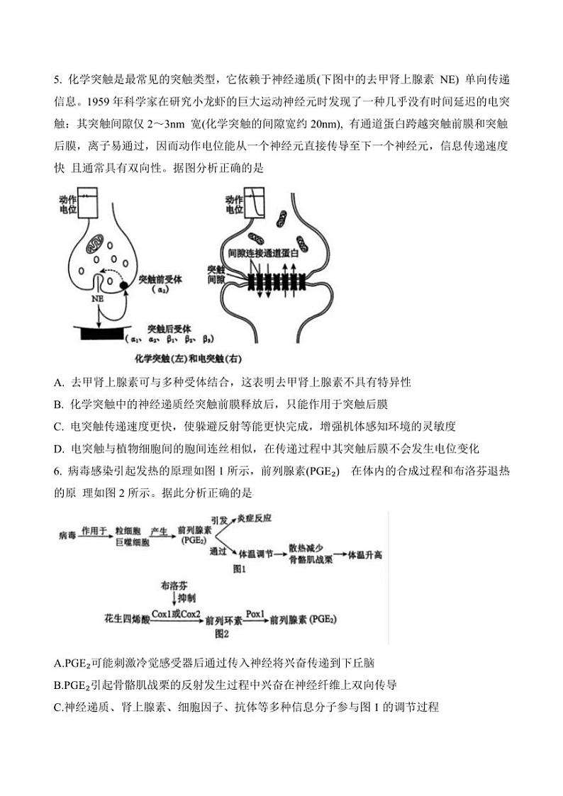 2024～2025学年广东省深圳市外国语等三校高二(上)12月联考生物试卷(含答案)第3页