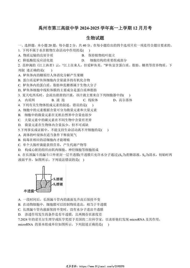 2024～2025学年河南省许昌市禹州市第三高级中学高一(上)12月月考生物试卷(含答案)第1页