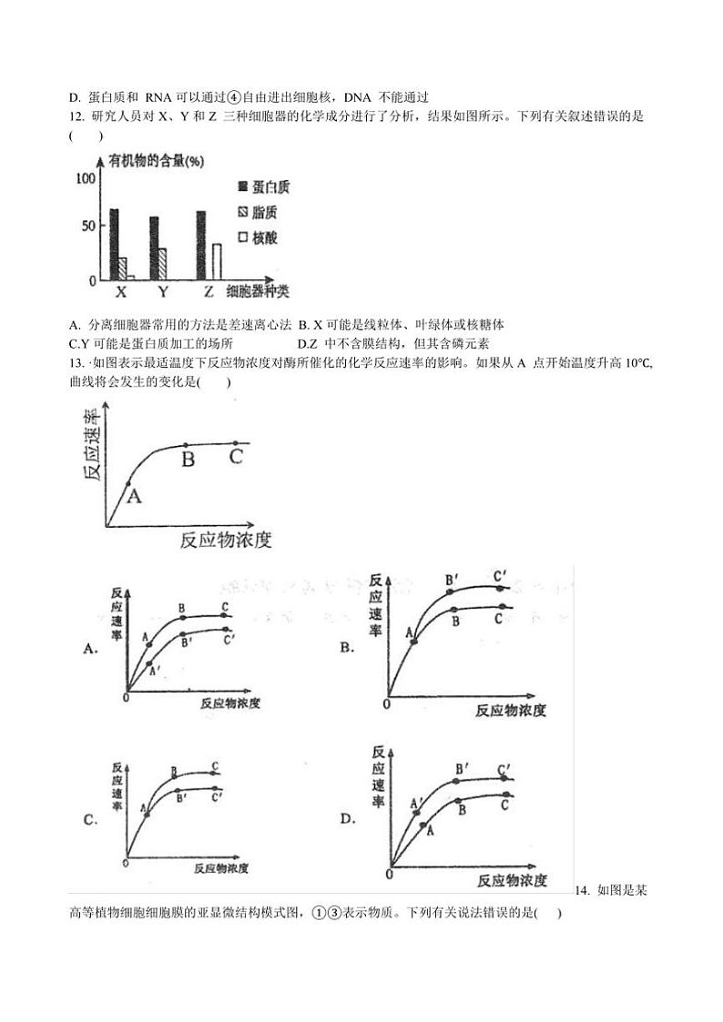 2024～2025学年河南省许昌市禹州市第三高级中学高一(上)12月月考生物试卷(含答案)第3页