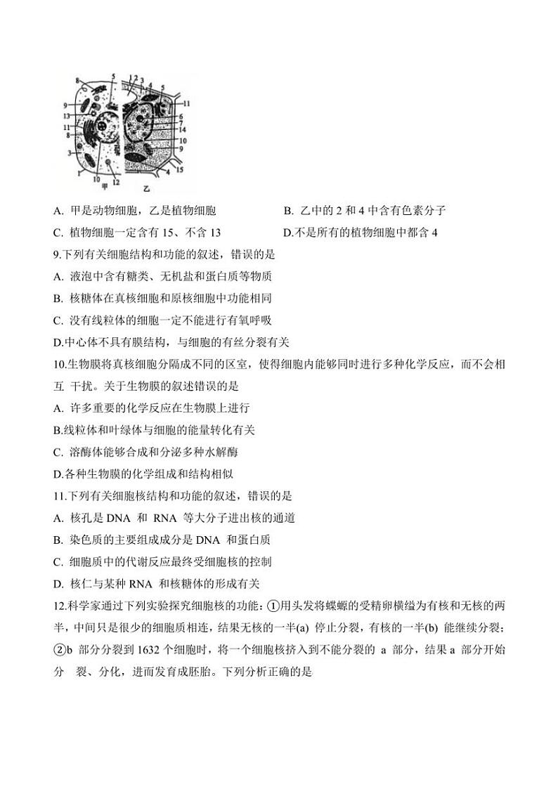 2024～2025学年山东省菏泽市鄄城县第一中学高一(上)第二次月考生物试卷(含答案)第3页