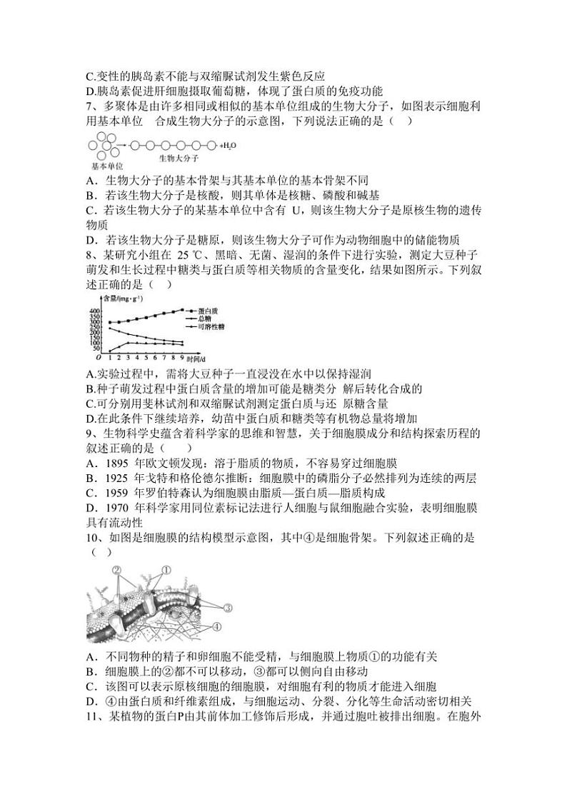 2024～2025学年广东省东莞市东莞中学松山湖学校高一(上)12月第二次段考生物试卷(含答案)第2页