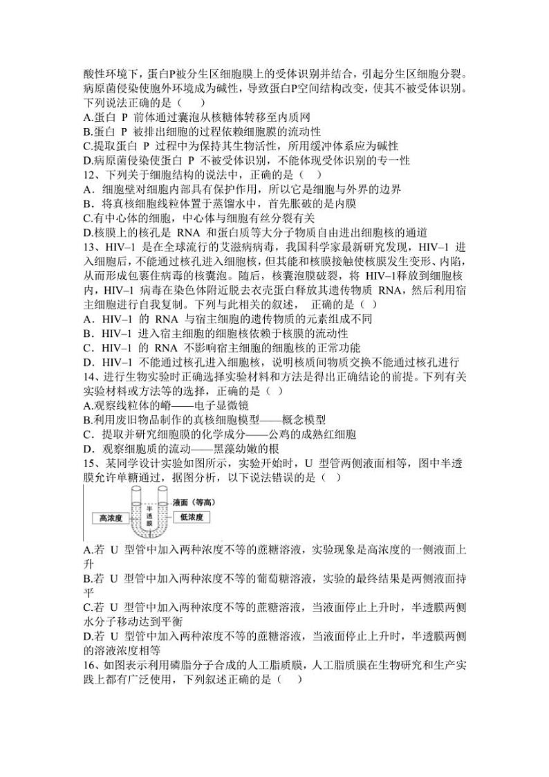 2024～2025学年广东省东莞市东莞中学松山湖学校高一(上)12月第二次段考生物试卷(含答案)第3页