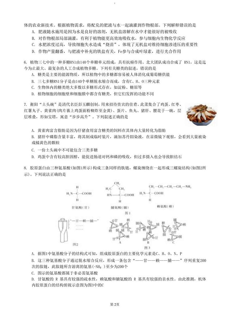 2024～2025学年湖南省协作体高一(上)期中大联考生物试卷(含答案)第2页