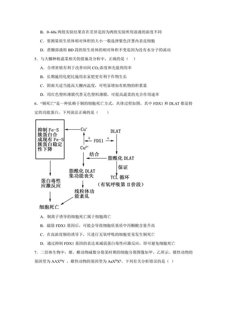 2024～2025学年湖南省常德市汉寿县第一中学高三(上)11月月考生物试卷(含答案)第2页