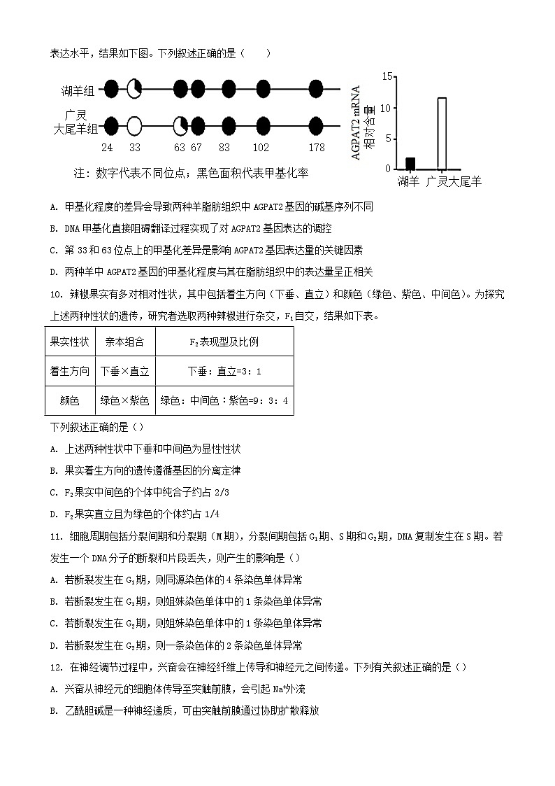 北京市2023_2024学年高三生物上学期期中试题含解析第3页