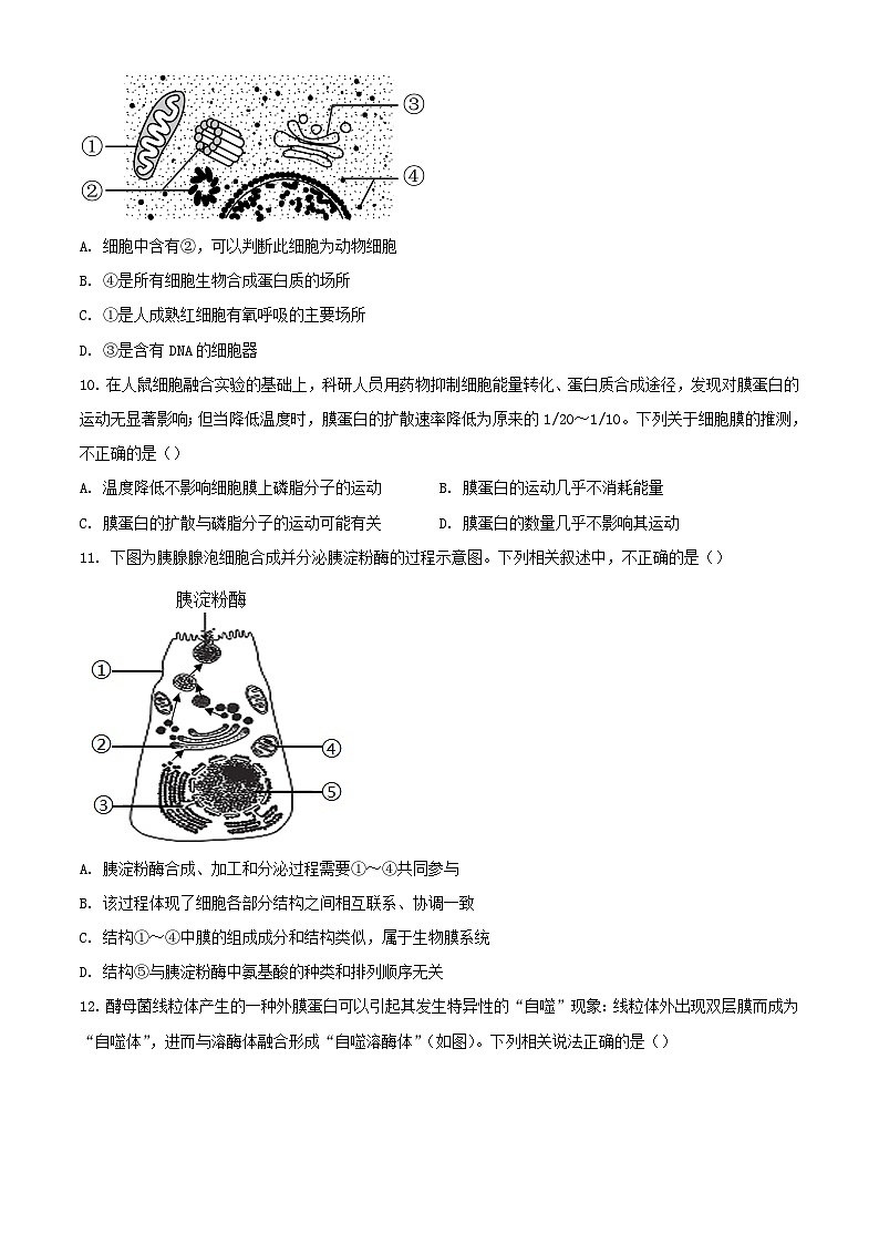 北京市2023_2024学年高一生物上学期期中试题1含解析第3页