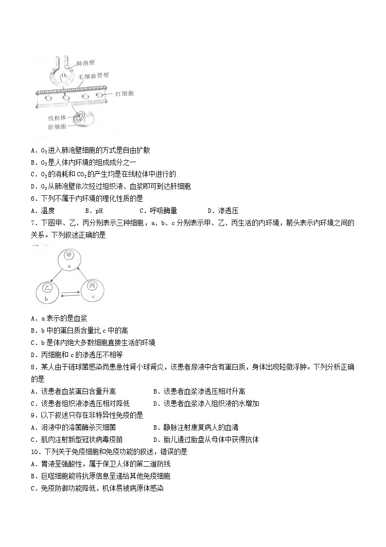 贵州省2023_2024学年高二生物上学期11月期中测试含解析第2页