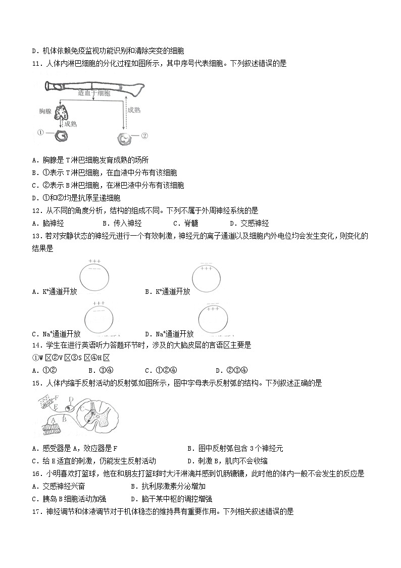 贵州省2023_2024学年高二生物上学期11月期中测试含解析第3页