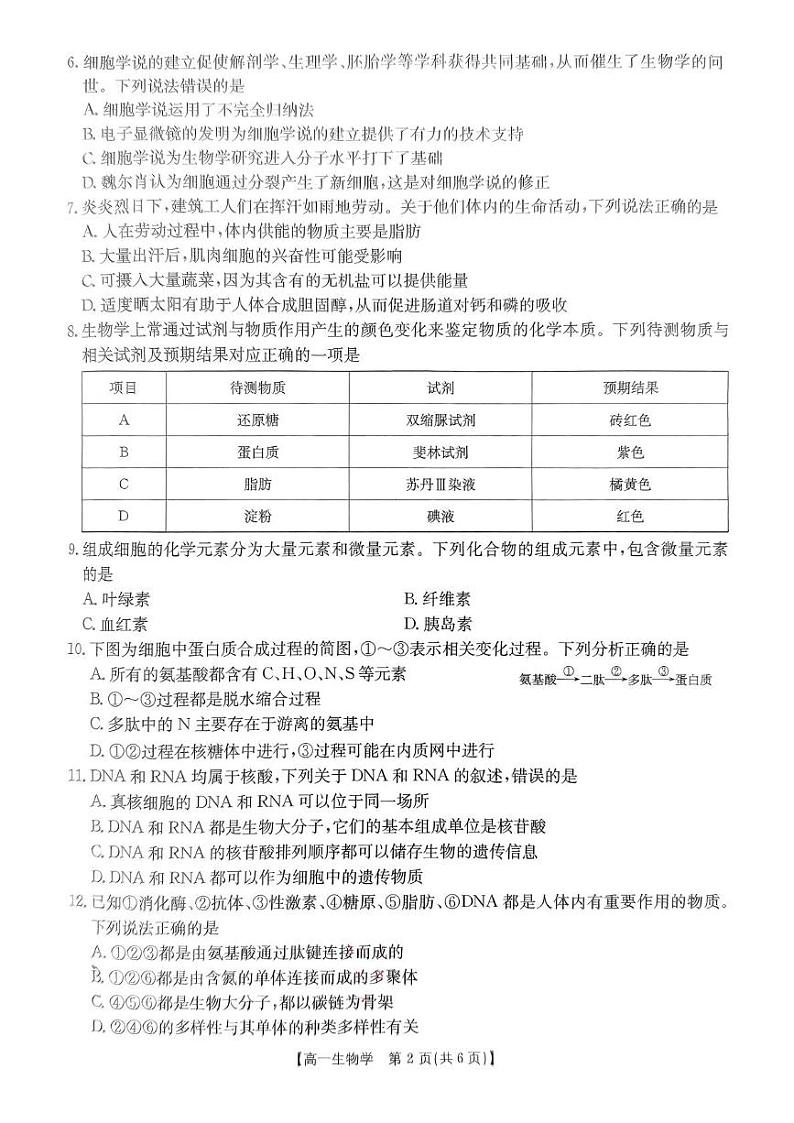 辽宁省朝阳市凌源市实验中学2024-2025学年高一上学期第三次月考生物试题第2页